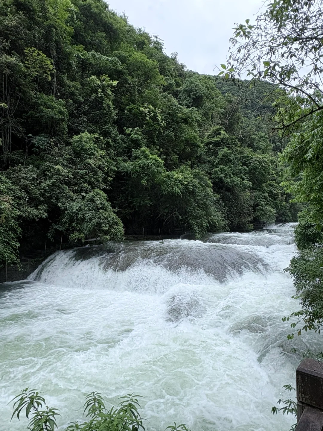 贵州| 旅行攻略