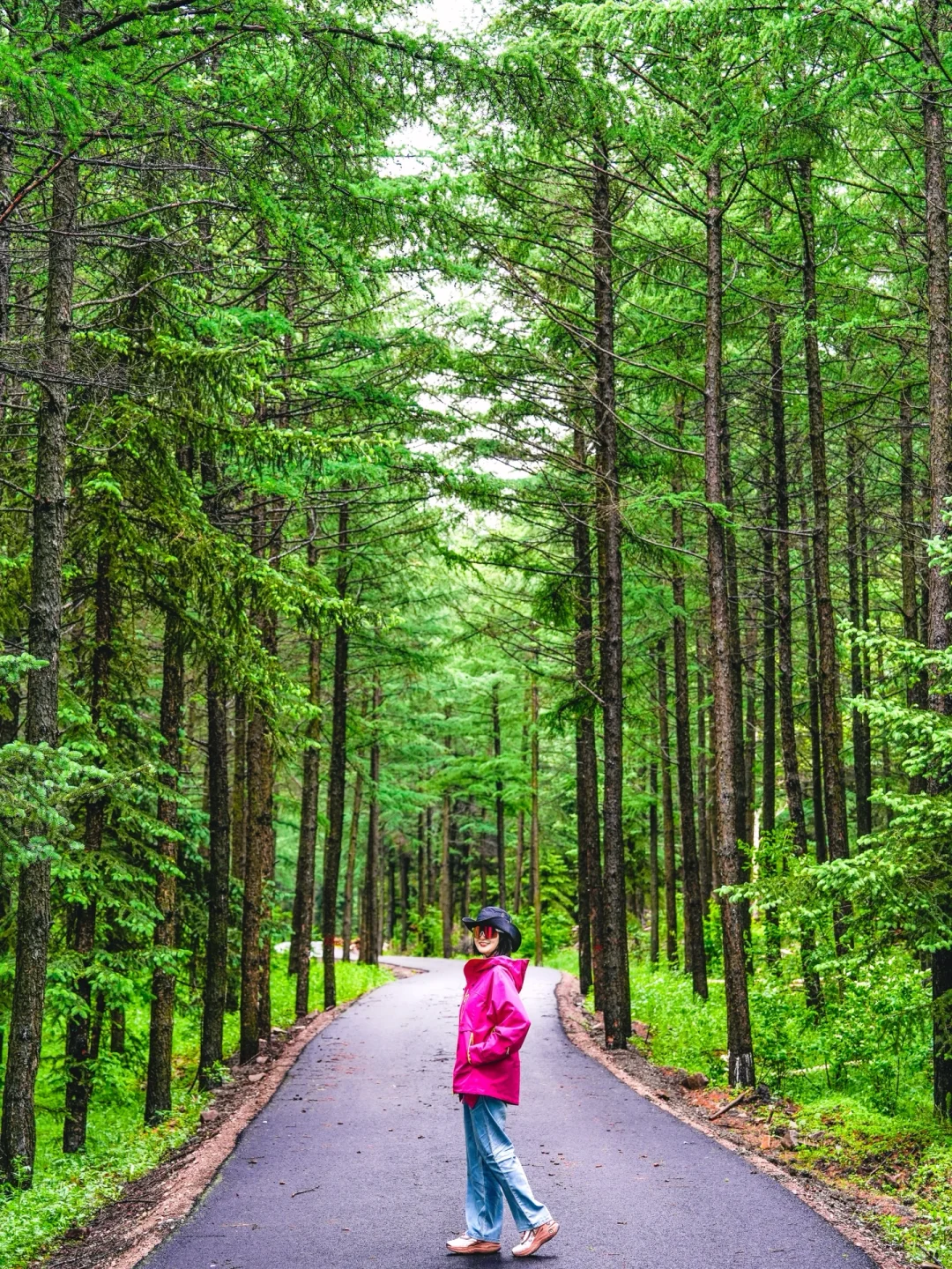 不是呼伦贝尔！是北京🚗3h可达的小众秘境🍃