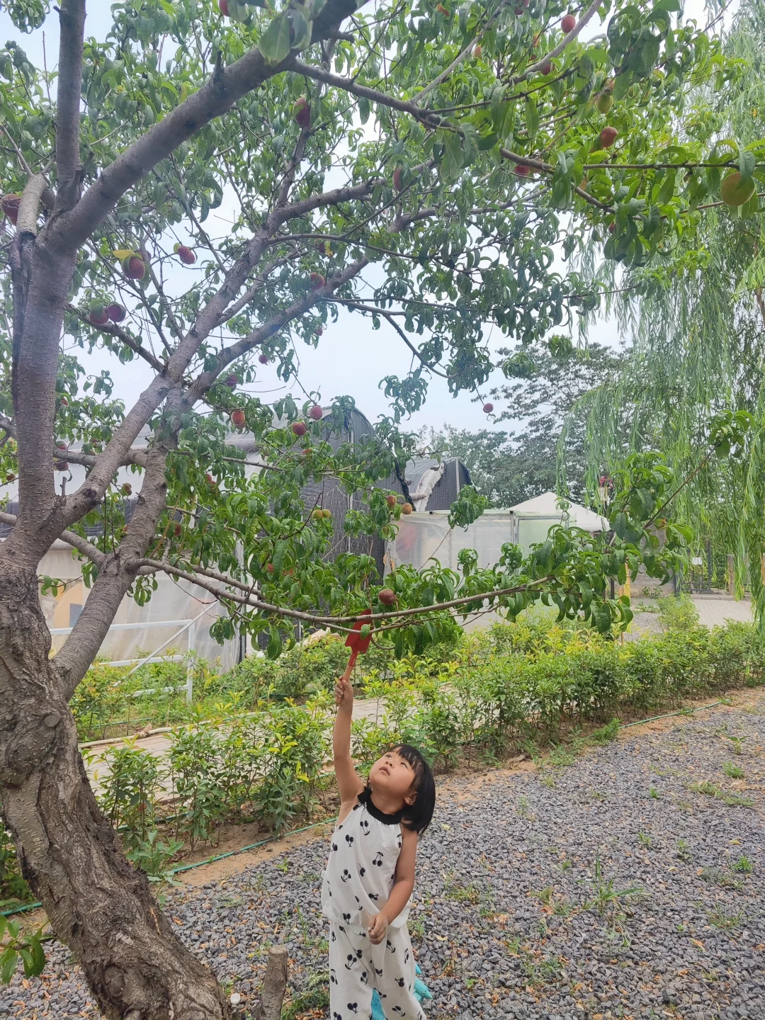 ✨邯郸遛娃👣沁河源景区