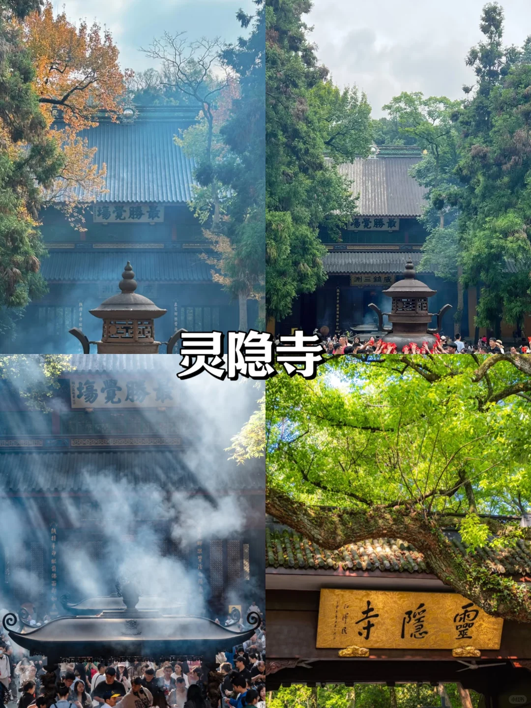 终于有人把6-8月杭州旅游说清楚了！收藏~