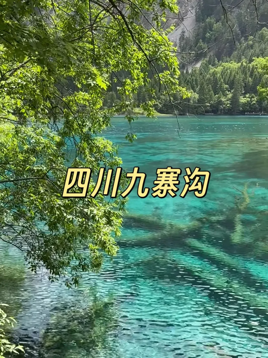 逃离酷暑！6到8月国内9大避暑胜地！