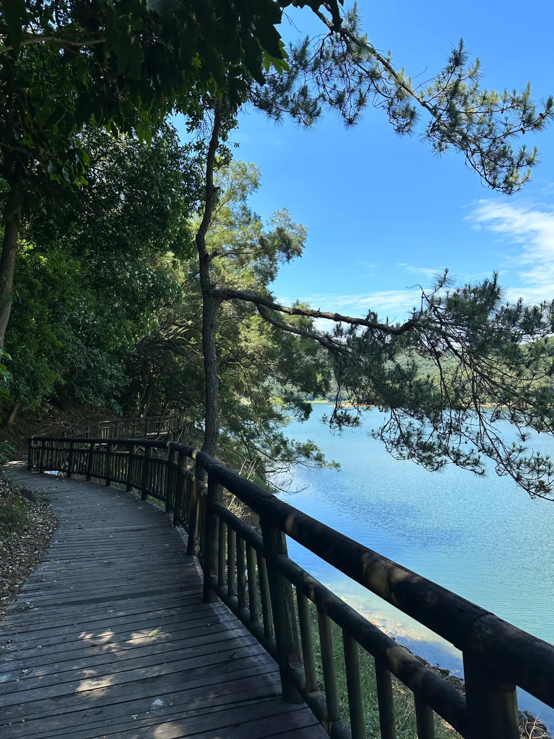 来厦门！！📍一定要去的6️⃣个地方！！附地址··