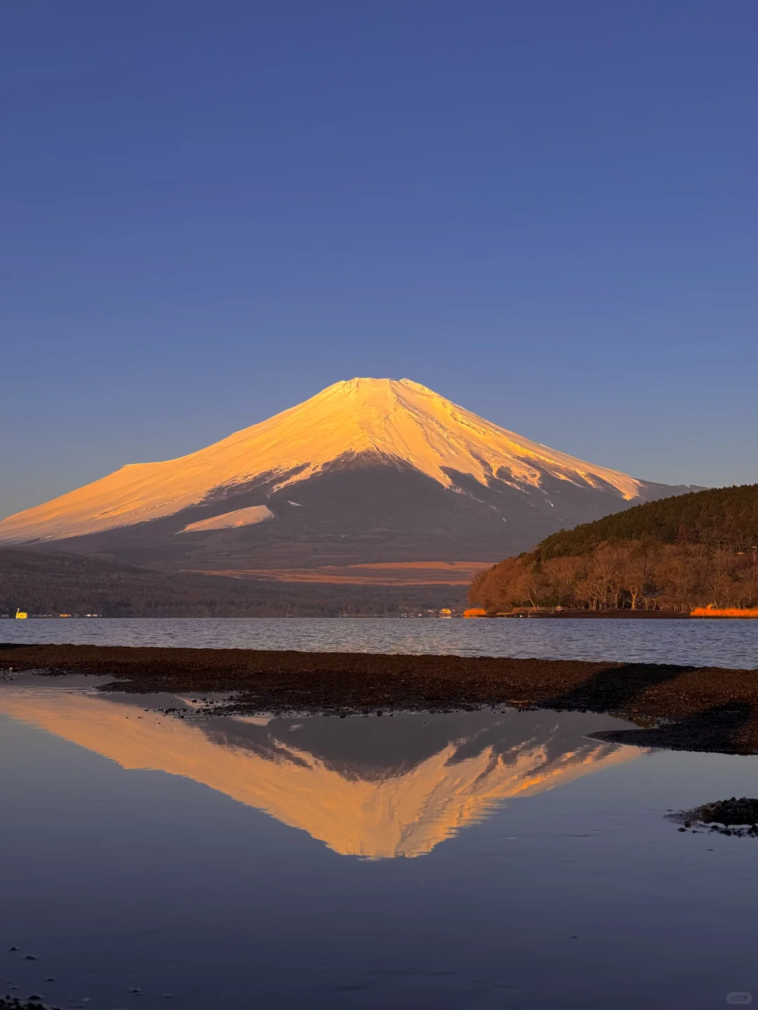 日本｜富士山🗻山中湖绝美粉色日出平野之浜