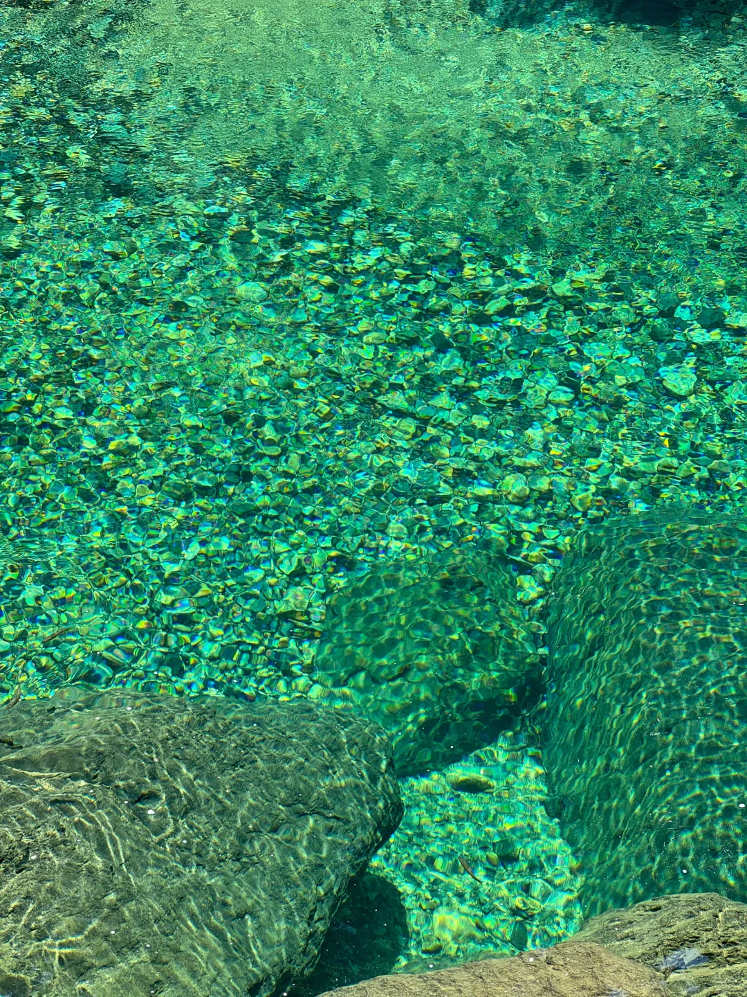 果冻湖狂热粉丝狂喜