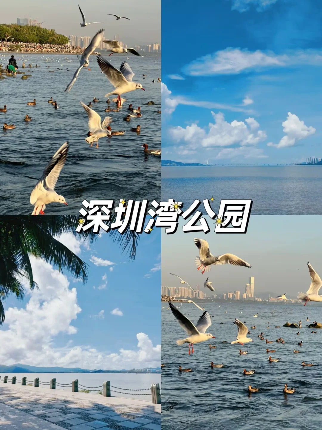🚇深圳畅玩秘籍！12个地铁直达宝藏景点