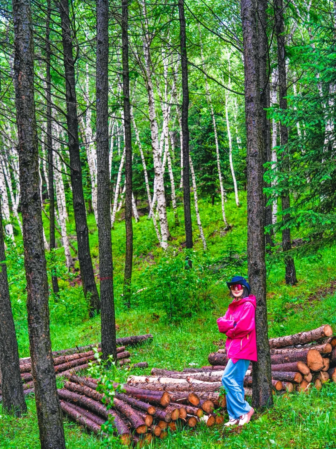 不是呼伦贝尔！是北京🚗3h可达的小众秘境🍃