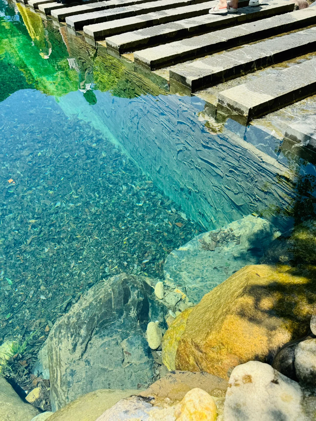 果冻湖狂热粉丝狂喜