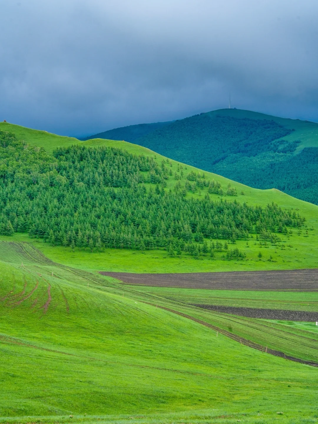 不是呼伦贝尔！是北京🚗3h可达的小众秘境🍃