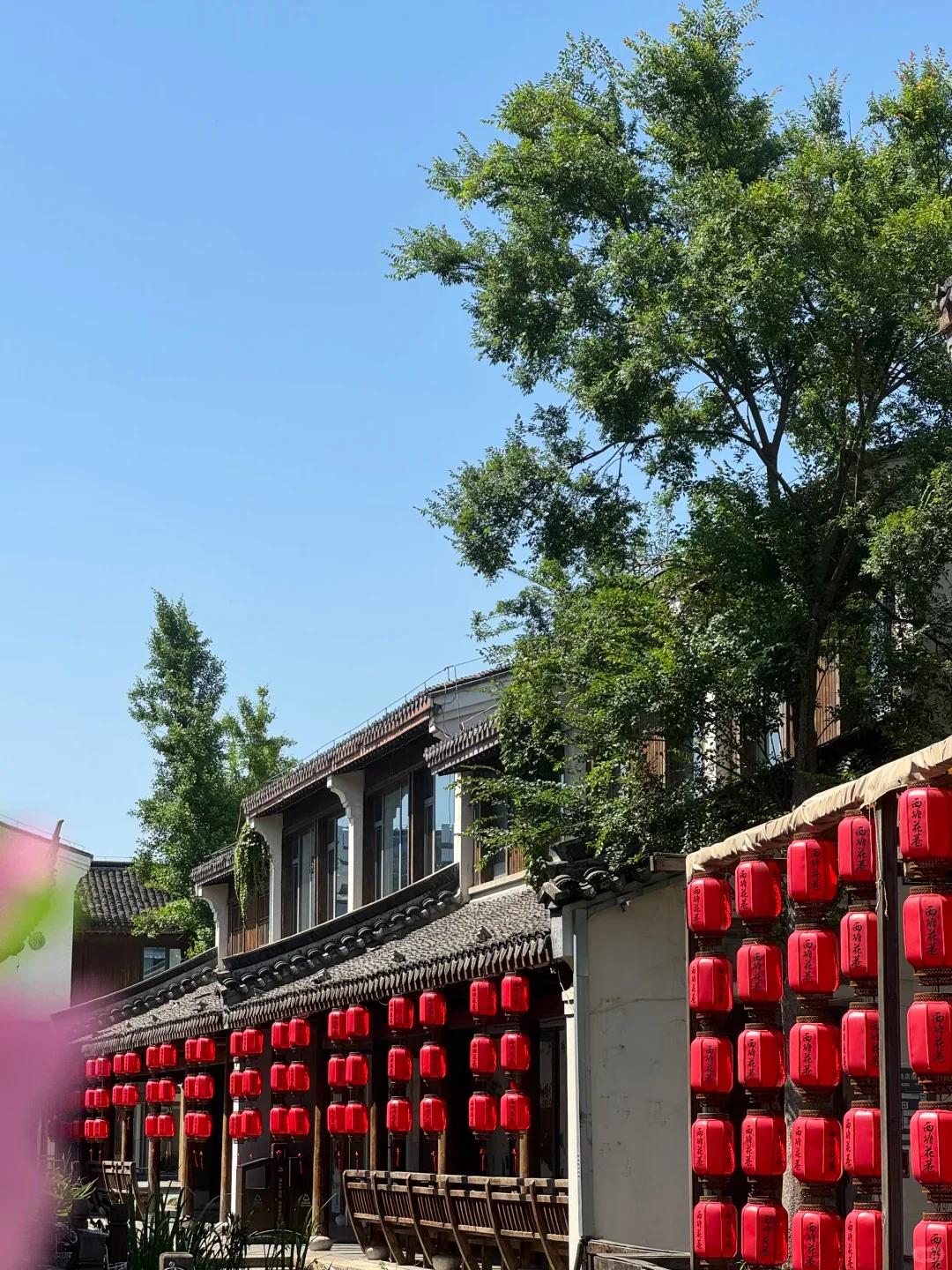 暑假来西塘‼别错过这条经典一日游路线！