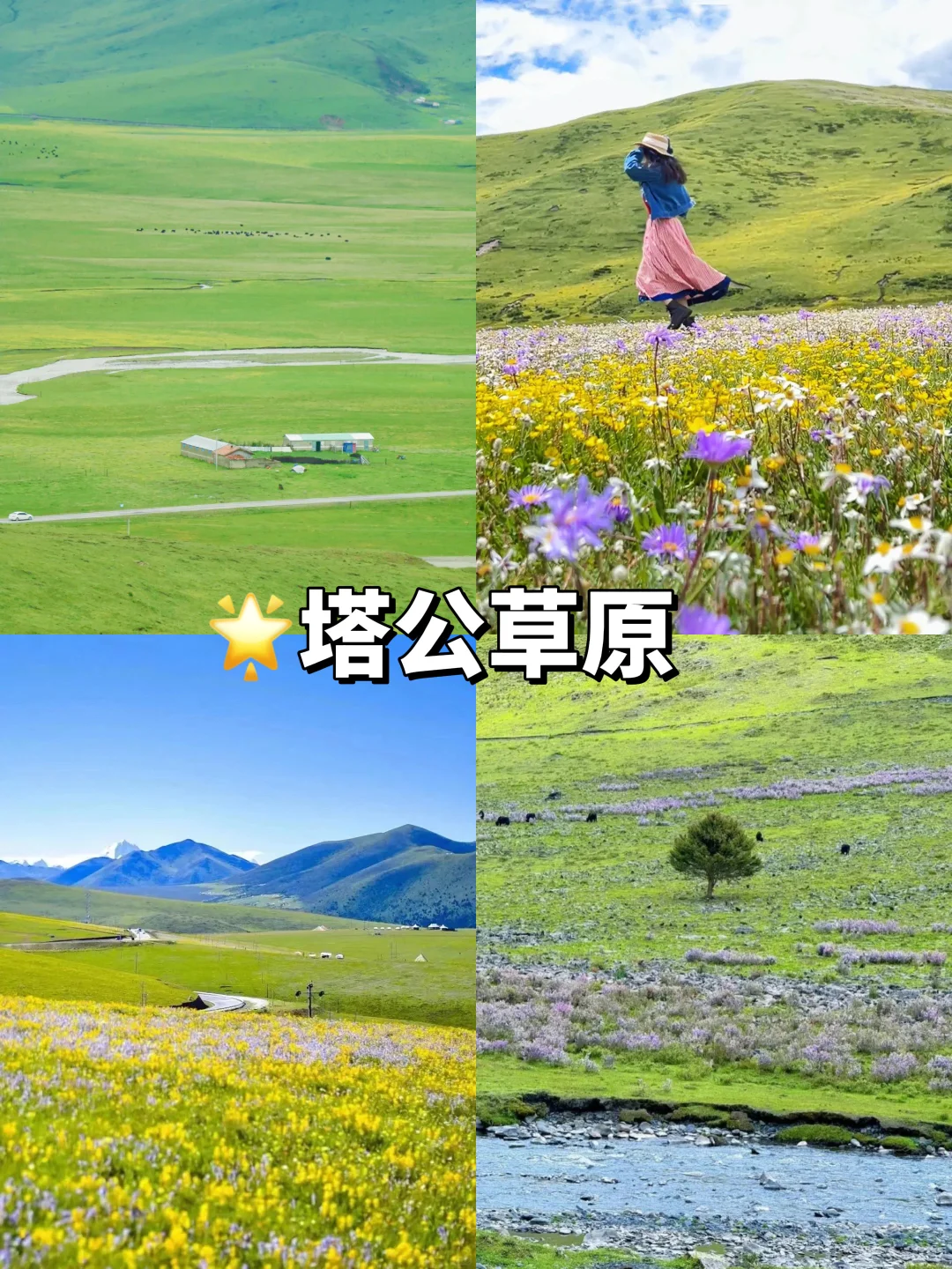 定制纯玩小团|4天3晚畅游川西