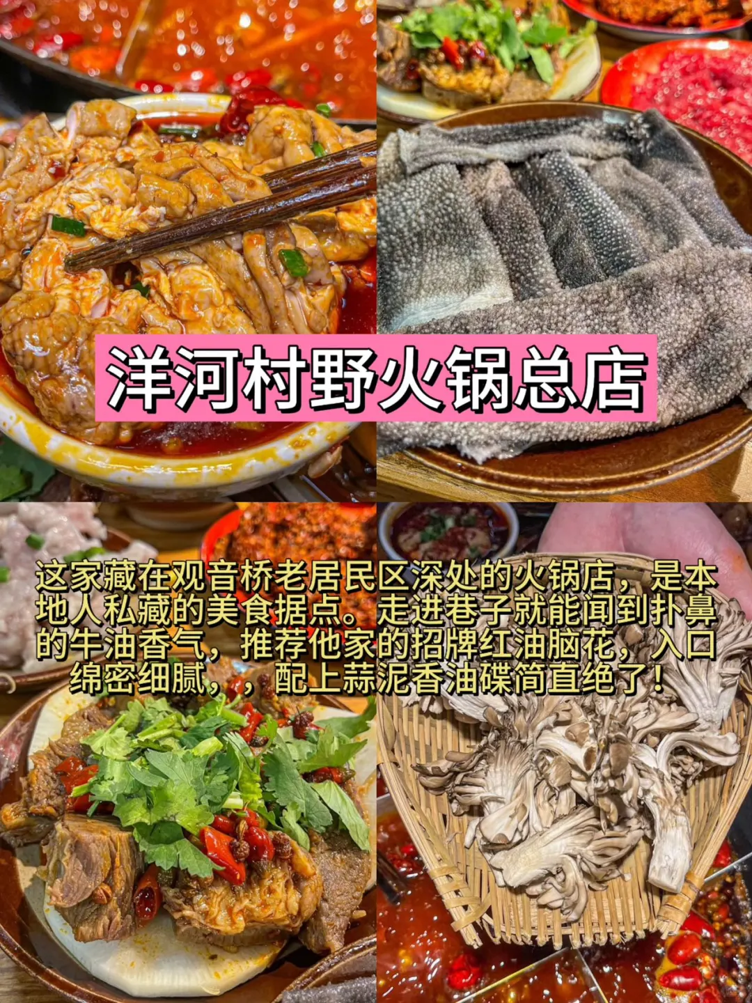 重庆各个区必打卡景点🌈🌈速速🐴住