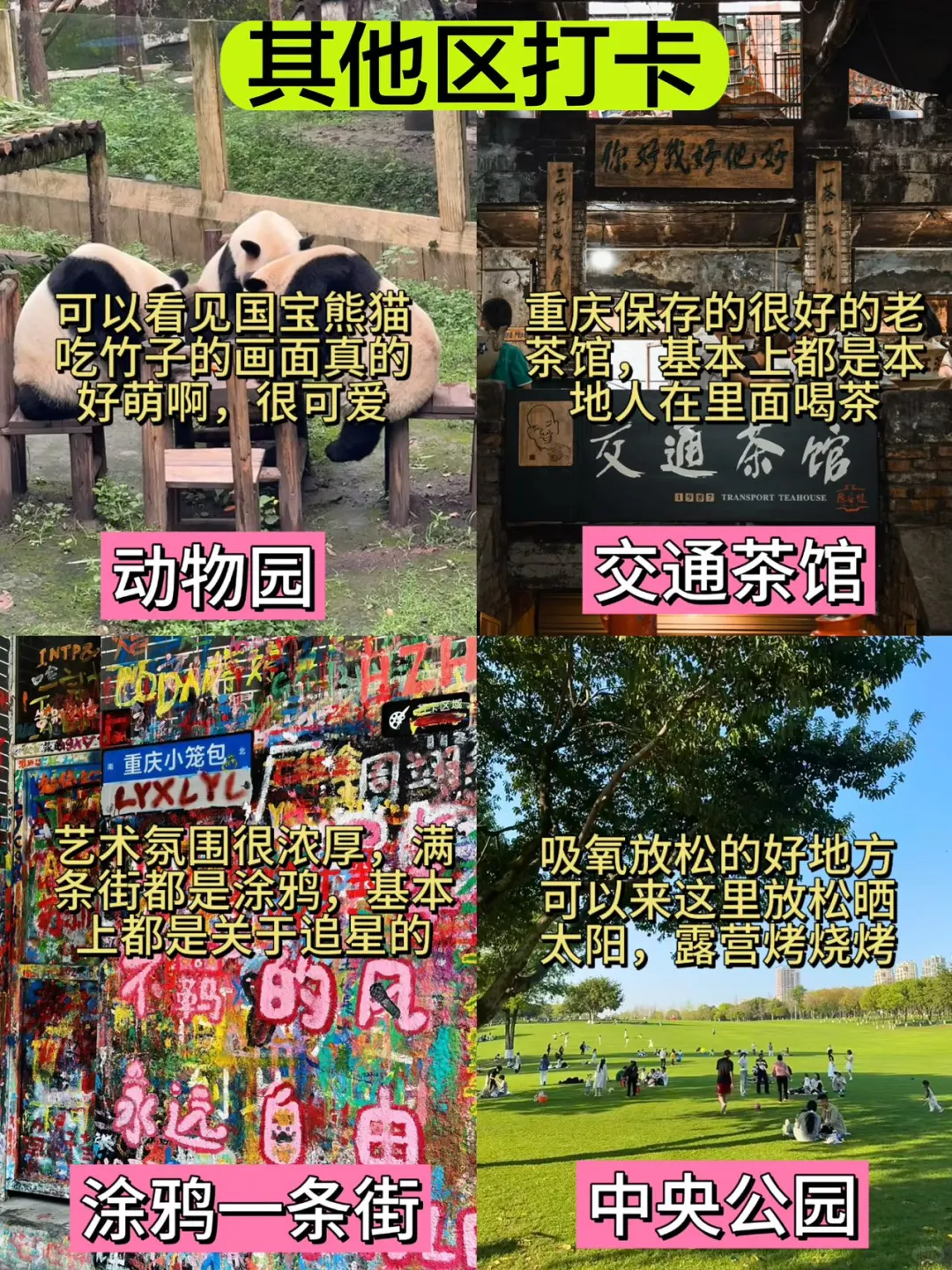 重庆各个区必打卡景点🌈🌈速速🐴住