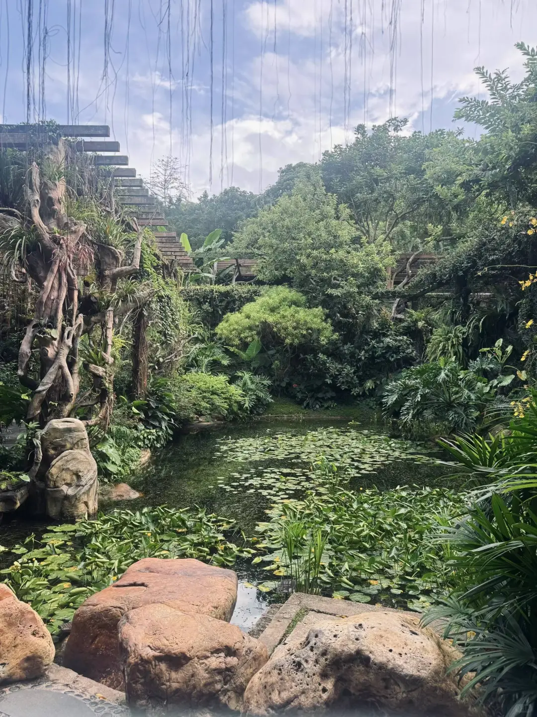 终于去到这个传说中的地方！🌳