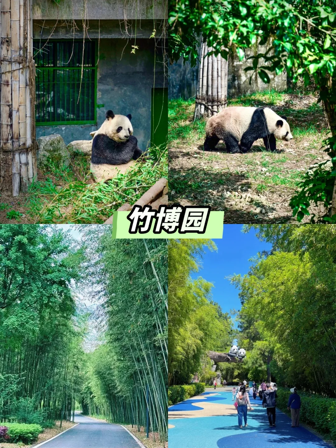 一篇看懂‼️安吉团建必玩景点合集