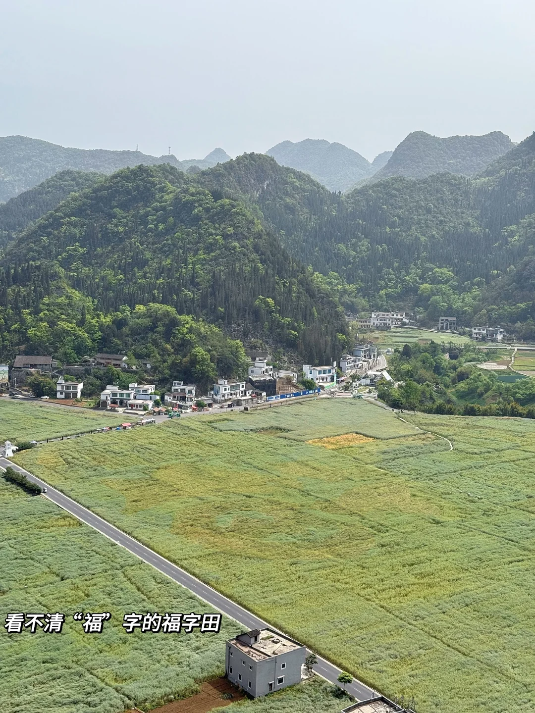高铁直达！中国坠凉快的城市…