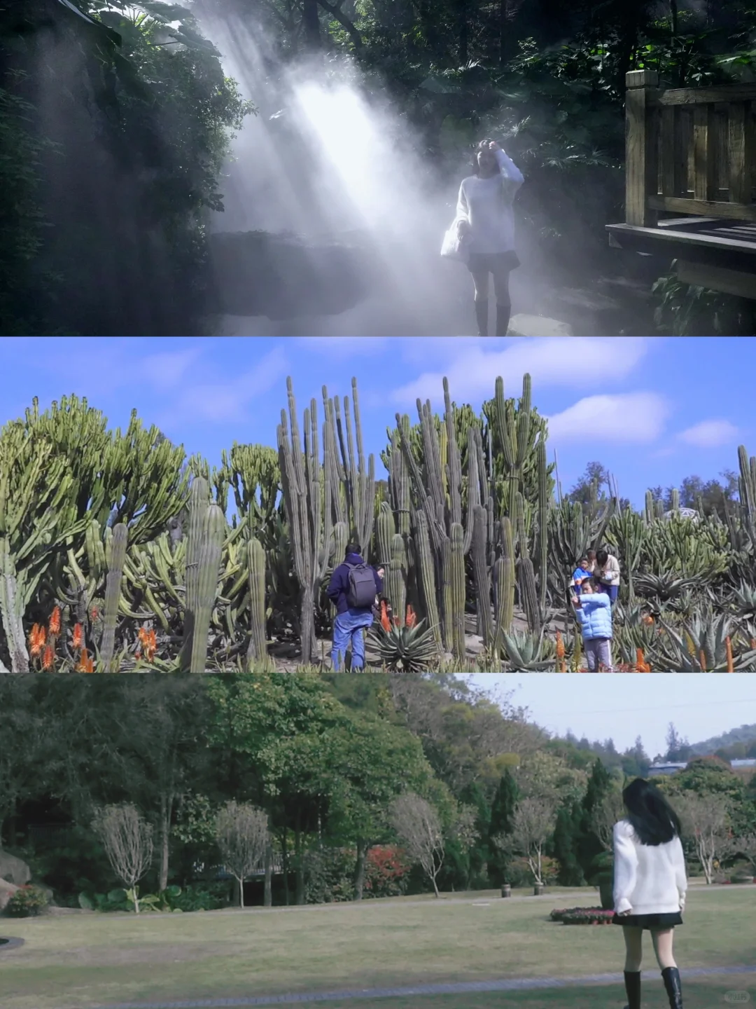 分享几个适合女生独自旅行的城市（实测版）