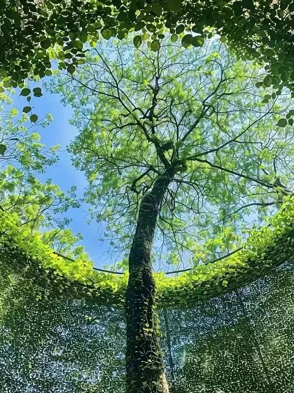 书友们帮忙推荐七月份去的国内旅游目的地