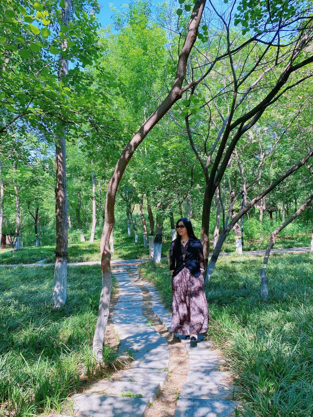 石门名片之——槐北公园（1️⃣绿树浓荫夏日长）