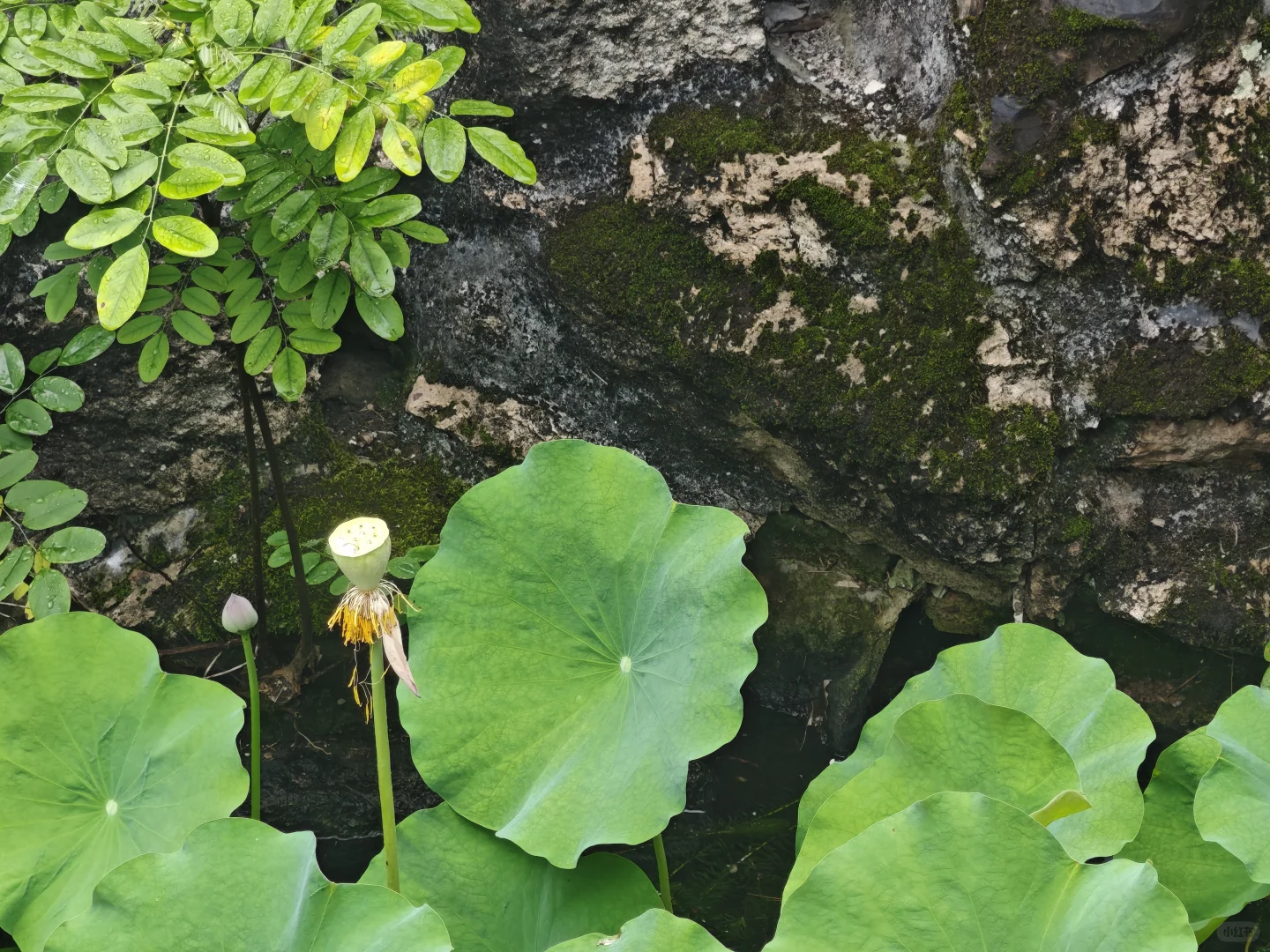 绍兴东湖
