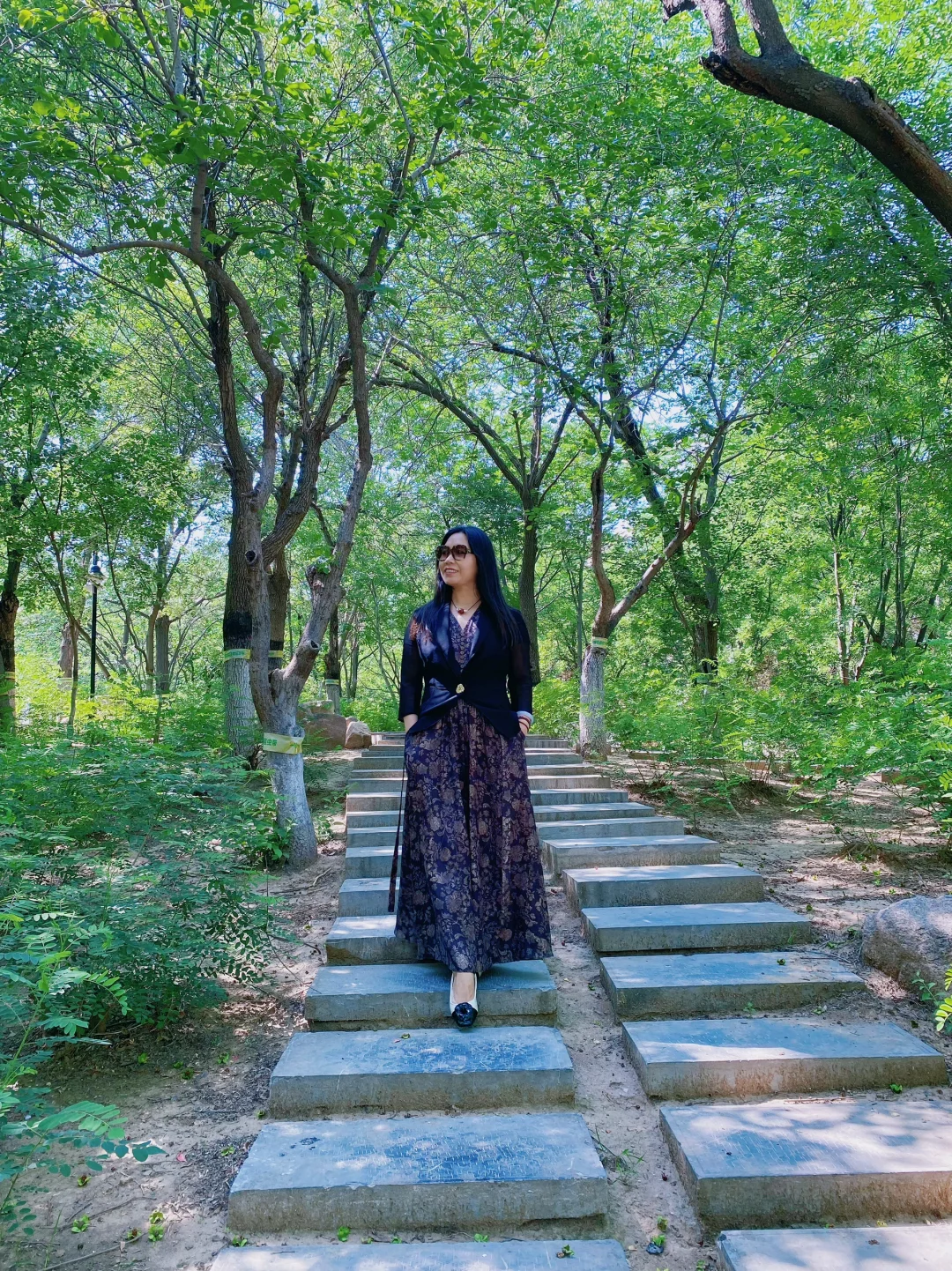 石门名片之——槐北公园（1️⃣绿树浓荫夏日长）