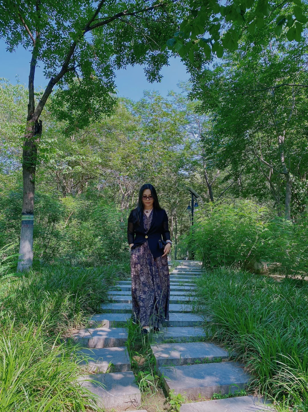 石门名片之——槐北公园（1️⃣绿树浓荫夏日长）