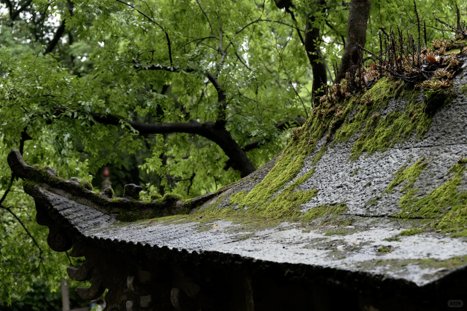 虎丘景区啦
