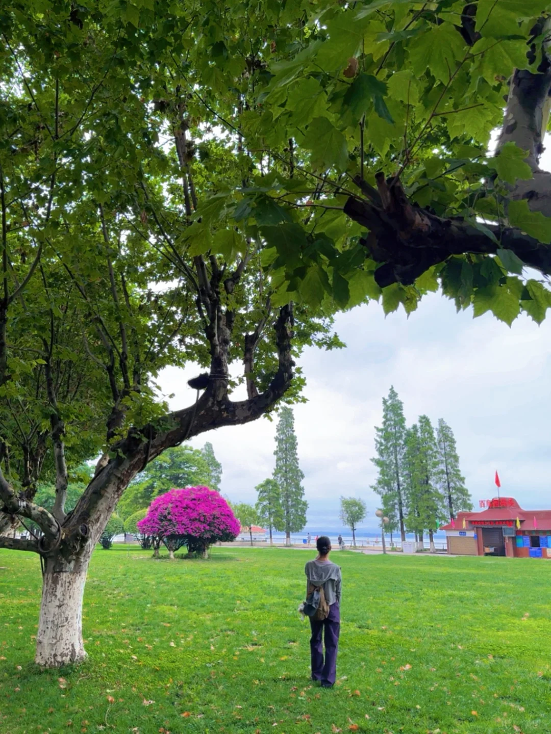 雨季滇池这么玩❗️不错过任何精彩 还不累❗️