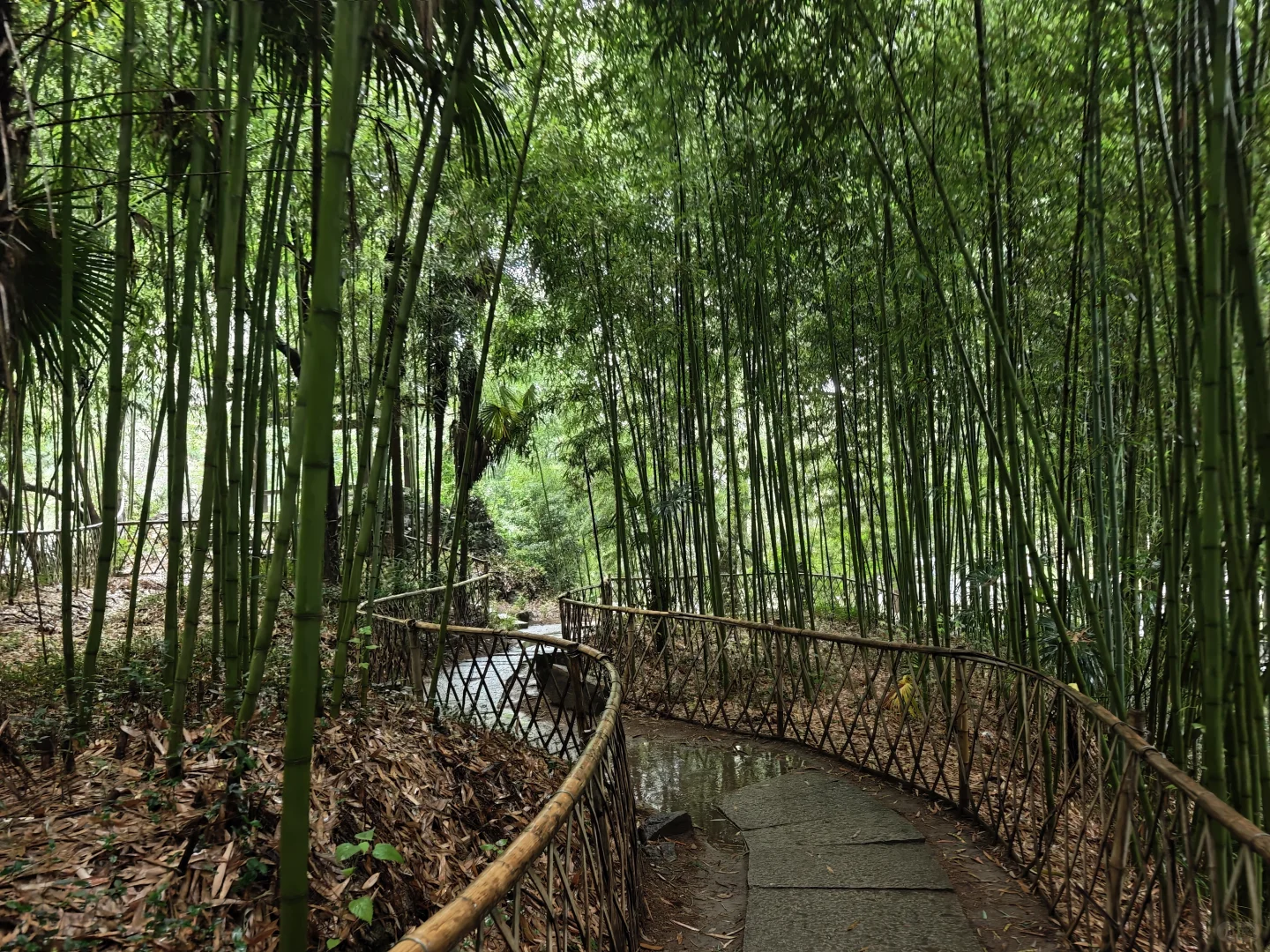 绍兴东湖