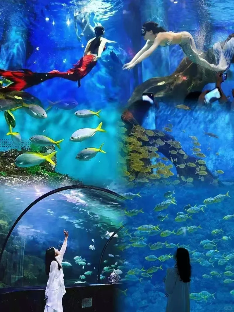 曲江海洋馆➕极地馆免门票啦？