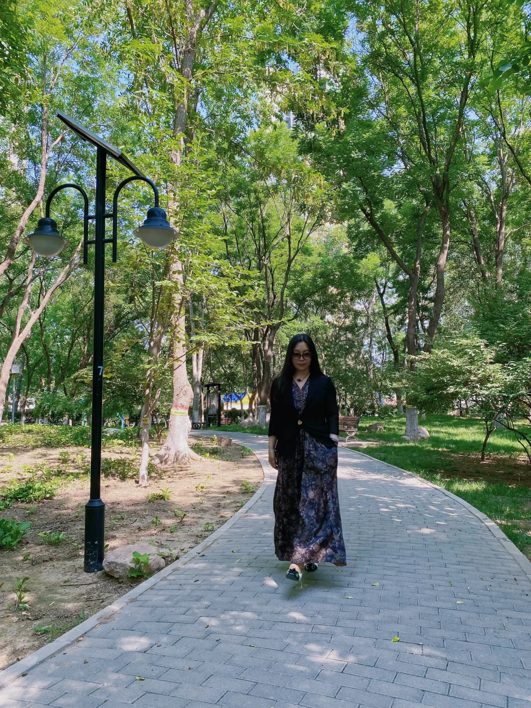 石门名片之——槐北公园（1️⃣绿树浓荫夏日长）