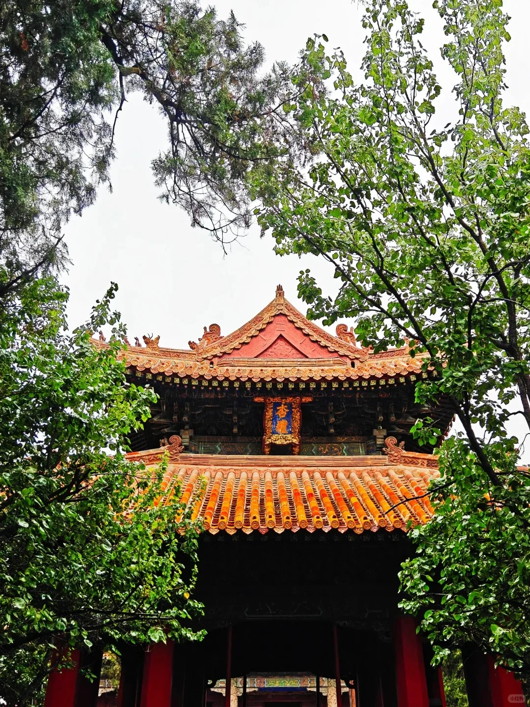 ✅山东济宁游玩|一篇攻略教你怎么玩