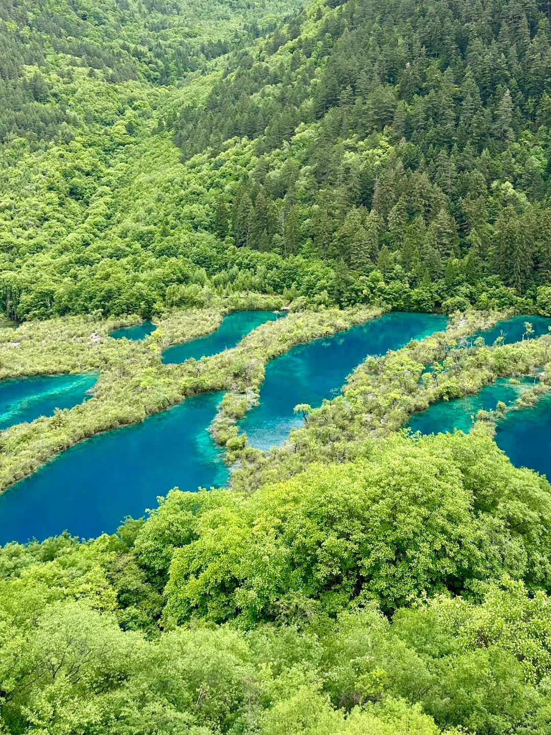 6.6📍川西已回，live实况直出，劝退不了