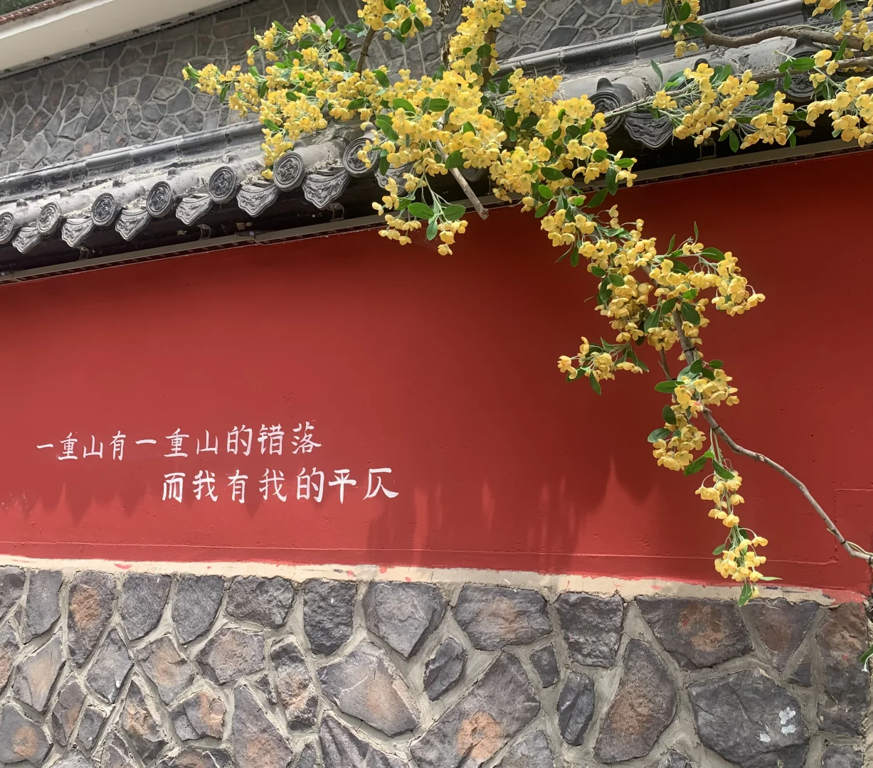 跟风打卡成功