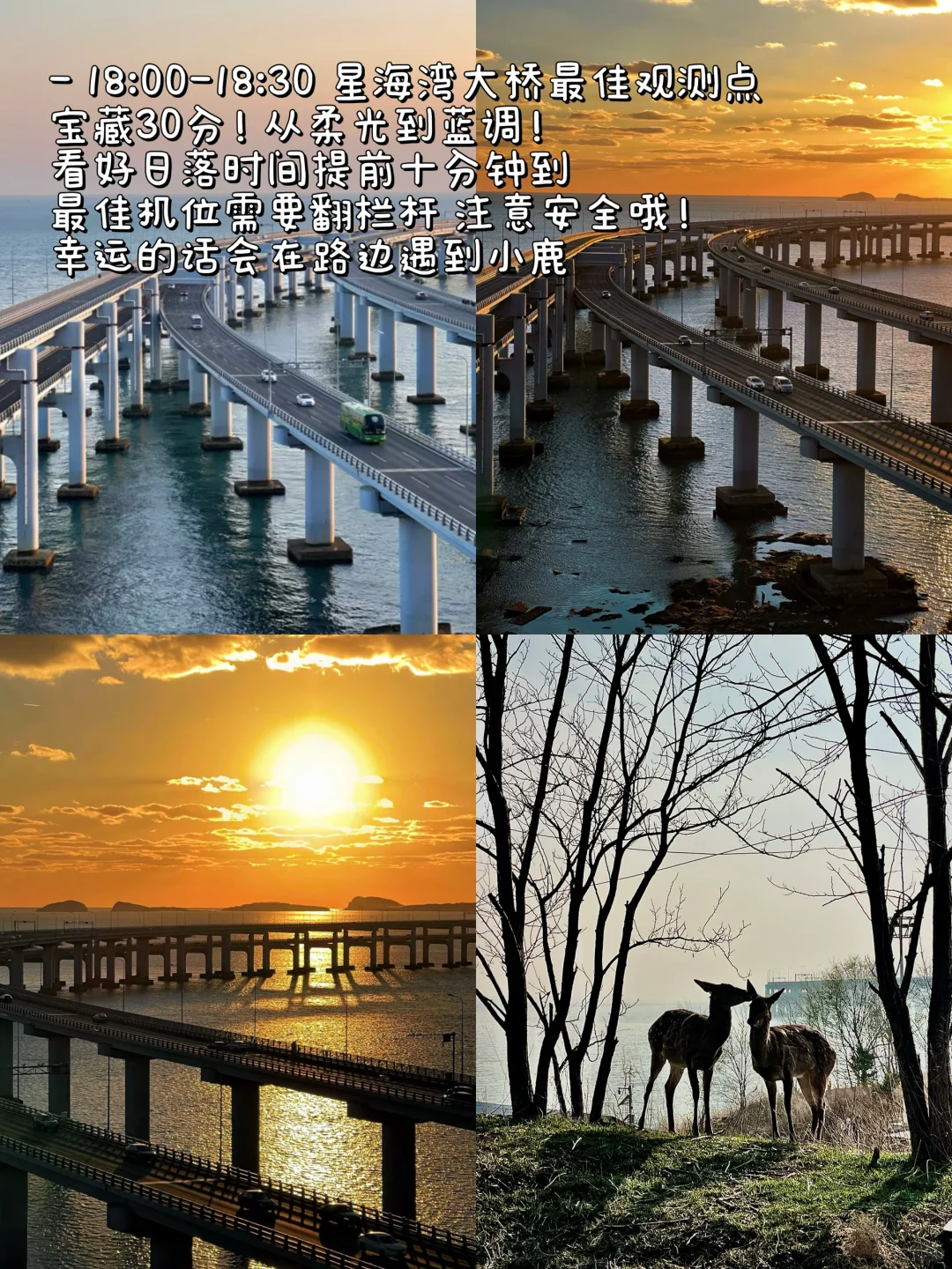 对自己做的大连5日攻略🐳满意到睡不着！