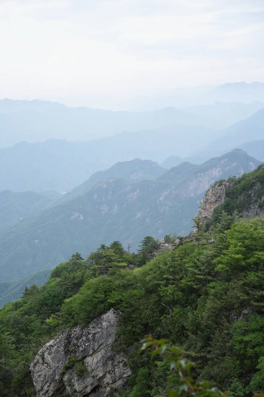 暑假带娃第一次去河南，这么玩才地道