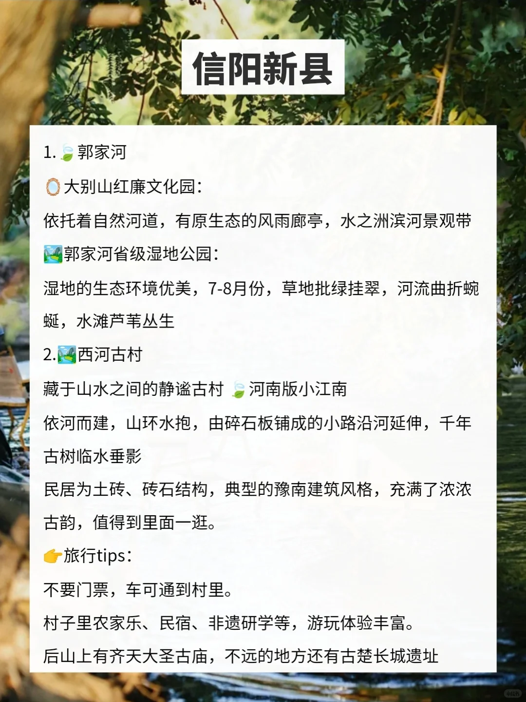 河南人有自己的避暑胜地🍃夏天不用开空调