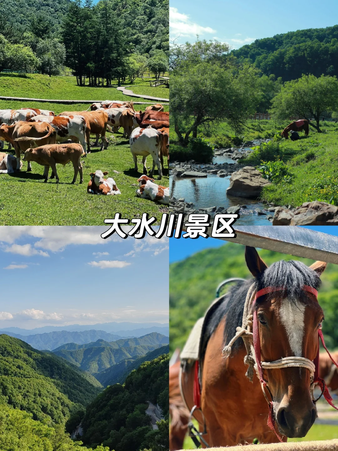 盘点西安周边宝鸡！必打卡的10大景区✅