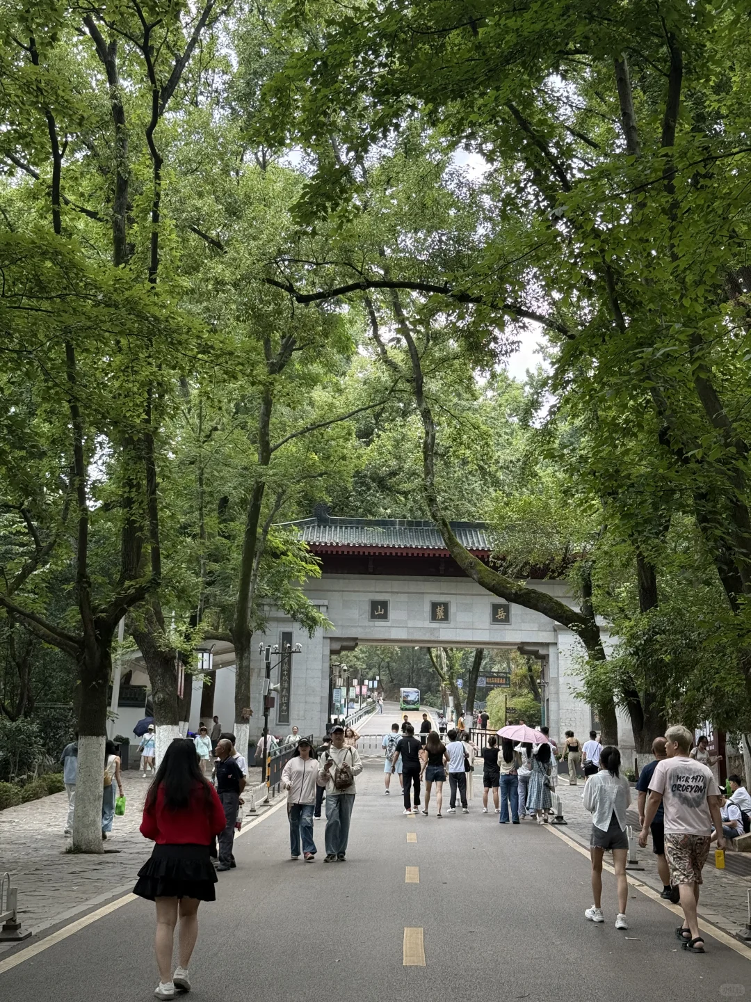 长沙三天两夜旅游攻略（吃喝玩碎片🧩）