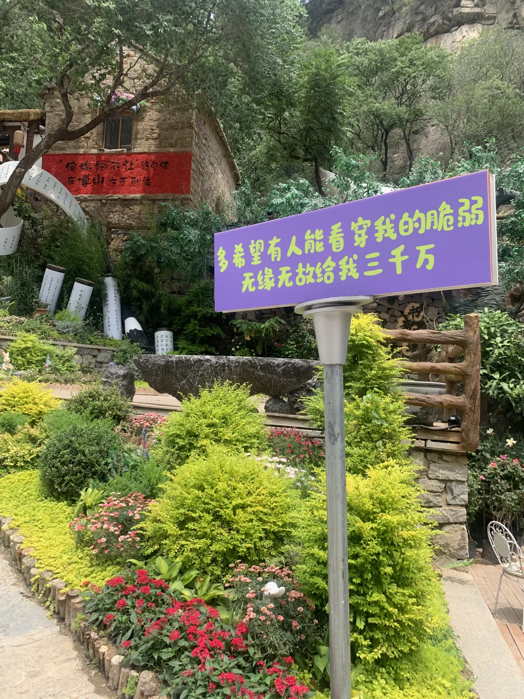 跟风打卡成功
