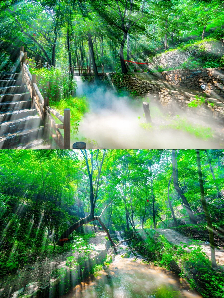 心动一万次！这才是夏日必游的人间仙境