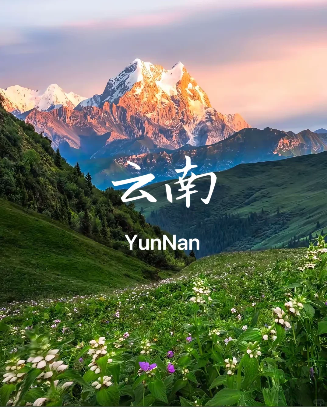 云南💐