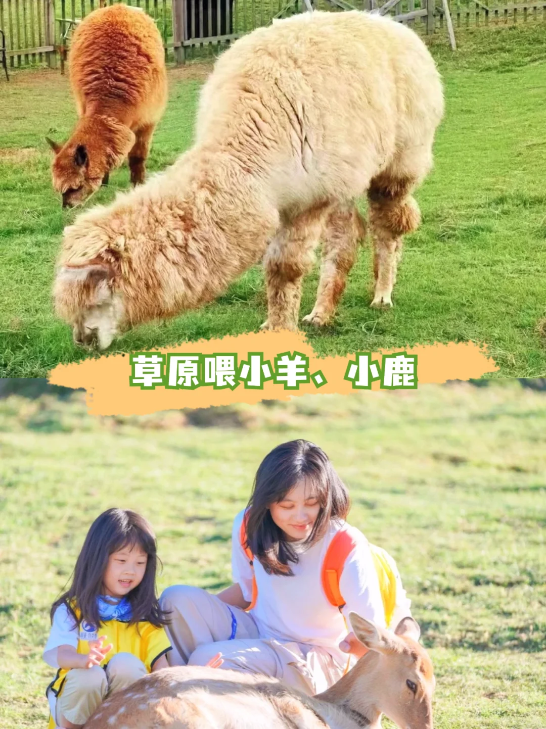 暑假亲子游必去！被这里美到窒息！冲就对了