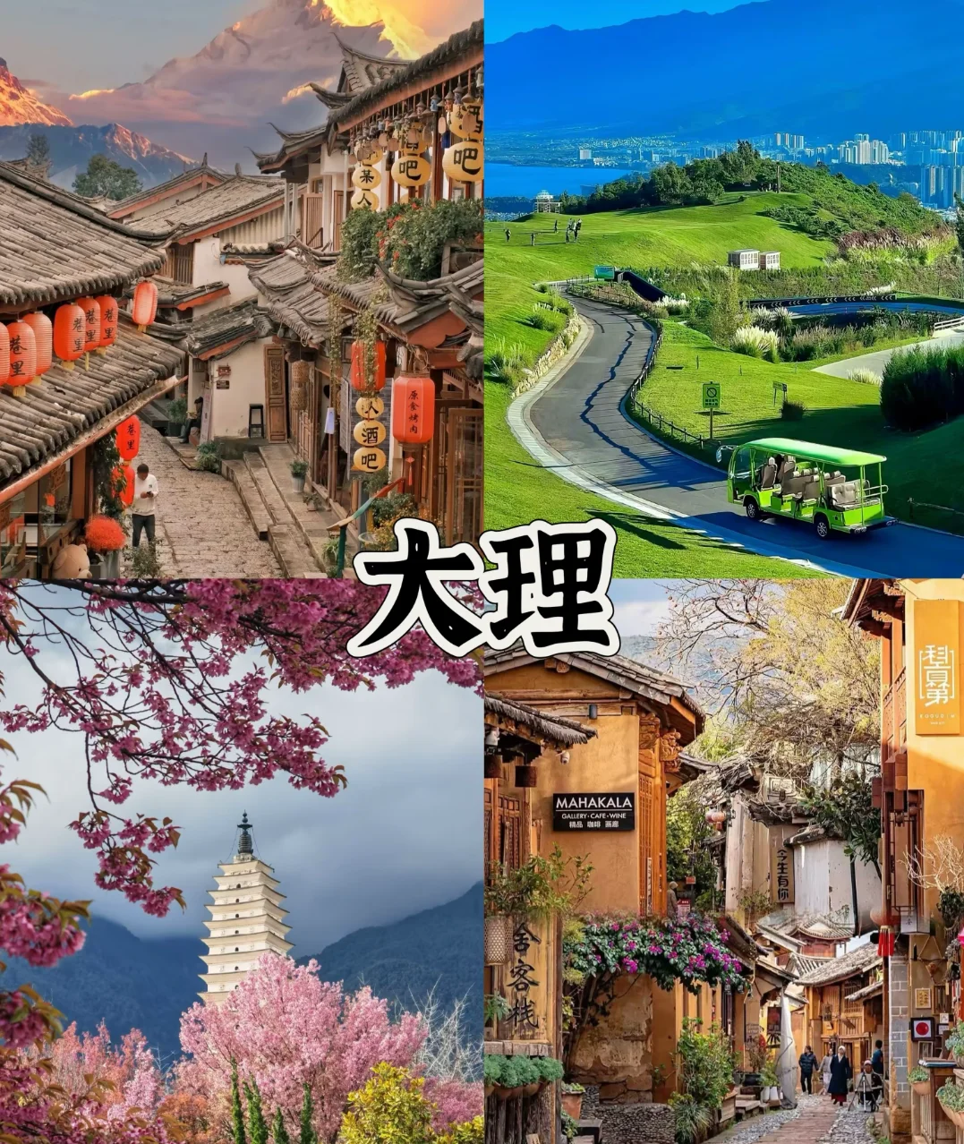 云南💐