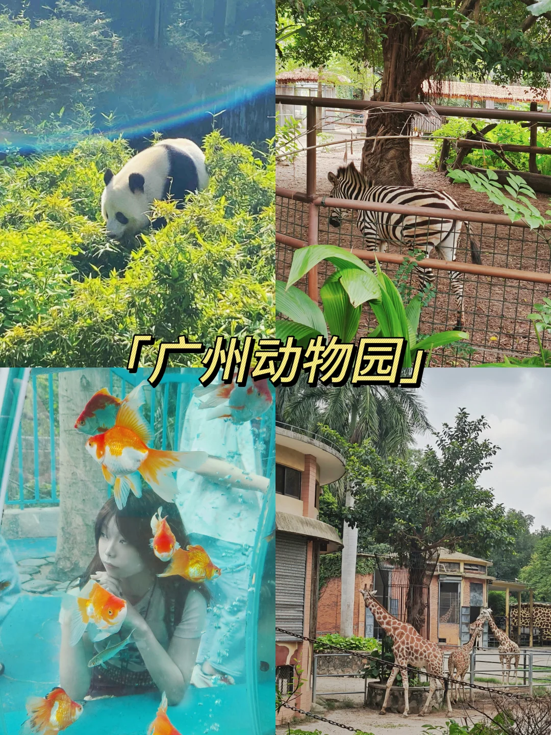 广州越秀区9大必打卡景点+自驾全攻略！🚩