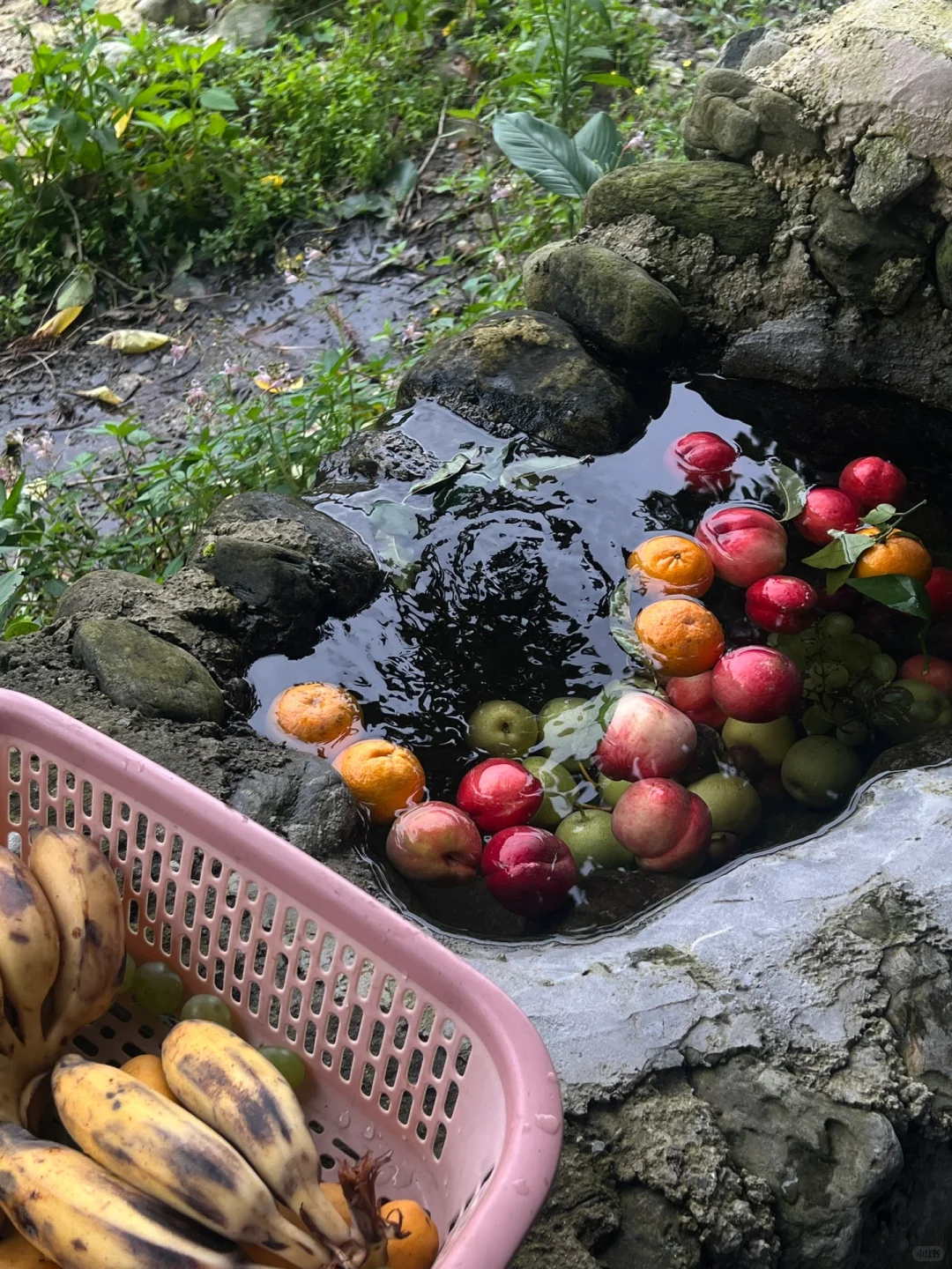 被低估的腾冲，比大理更适合旅居的地方