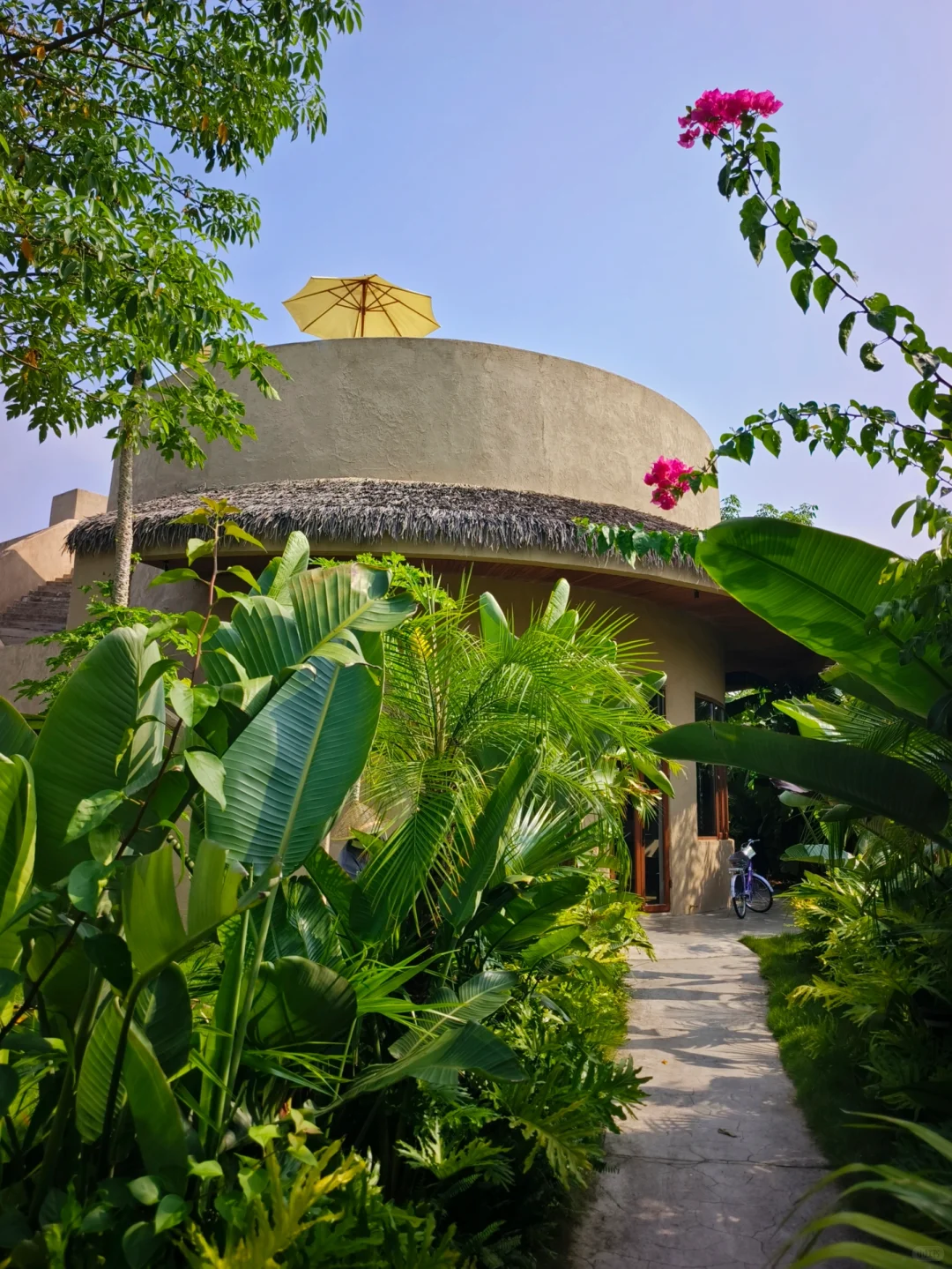 不是巴厘岛在广西！从雨林中醒来🌴