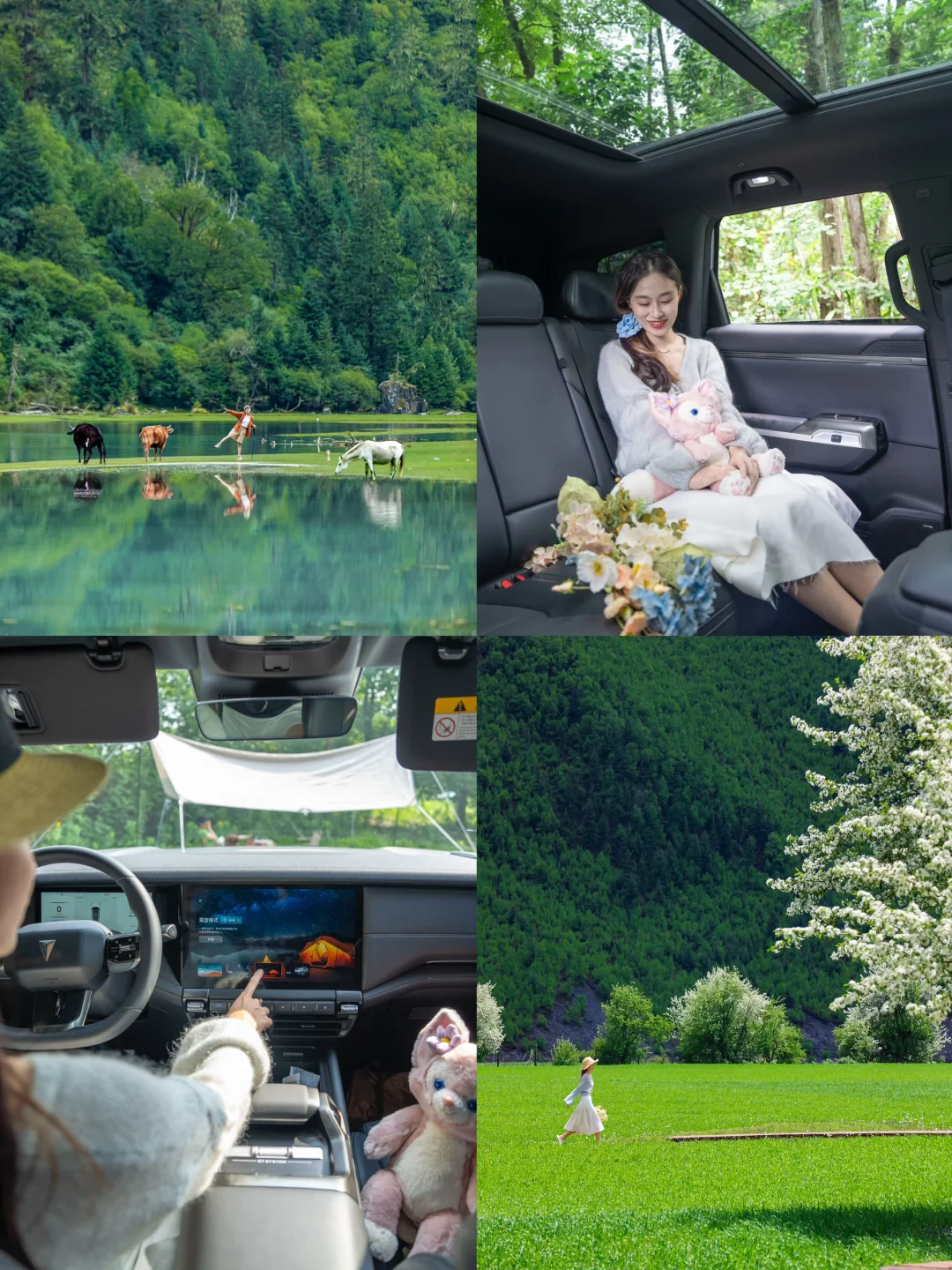 6月的川西，是漫画中的样子呀！🏔️🌲