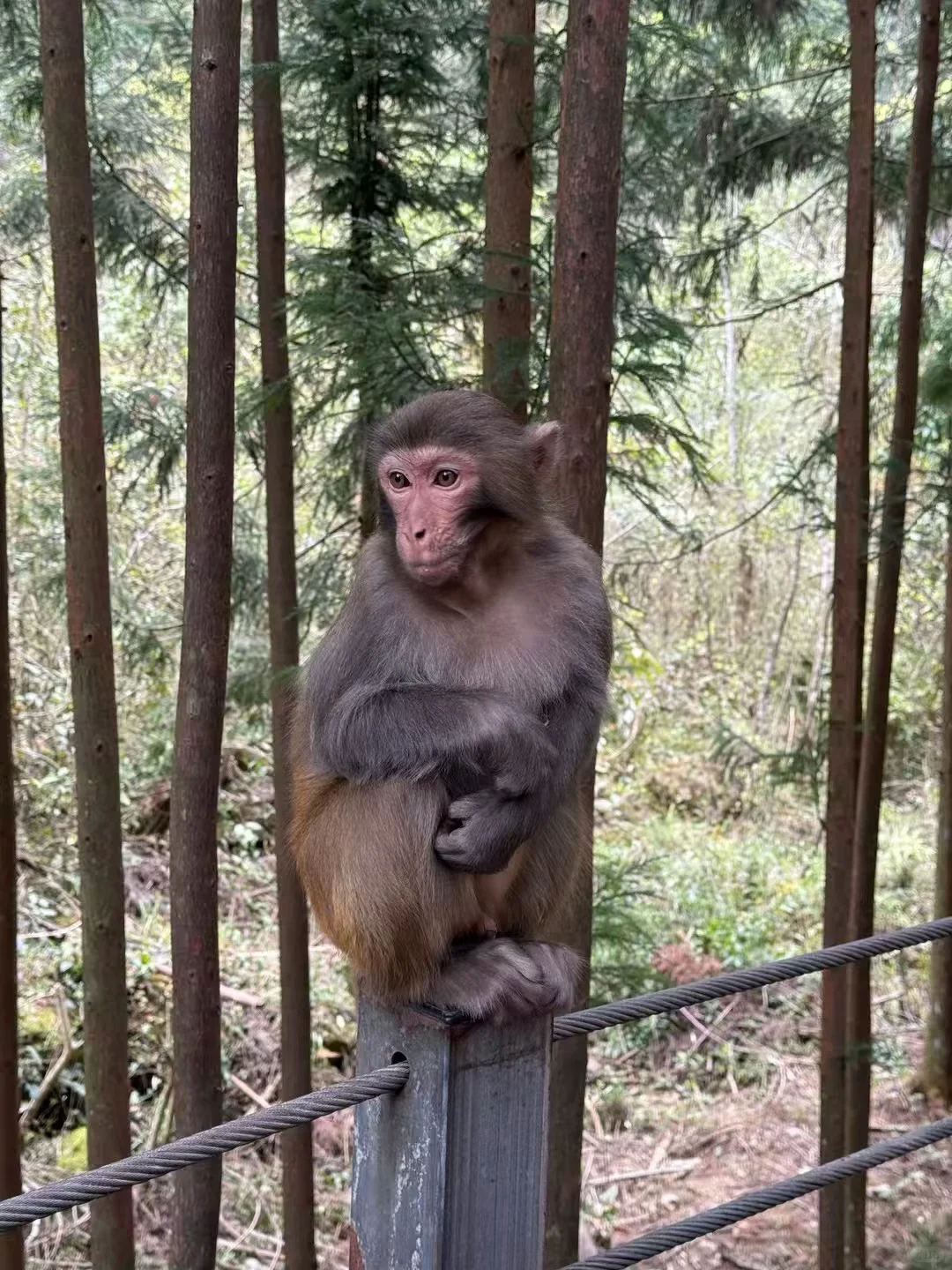 ✨张家界 | 一场奇幻的仙境之旅✨