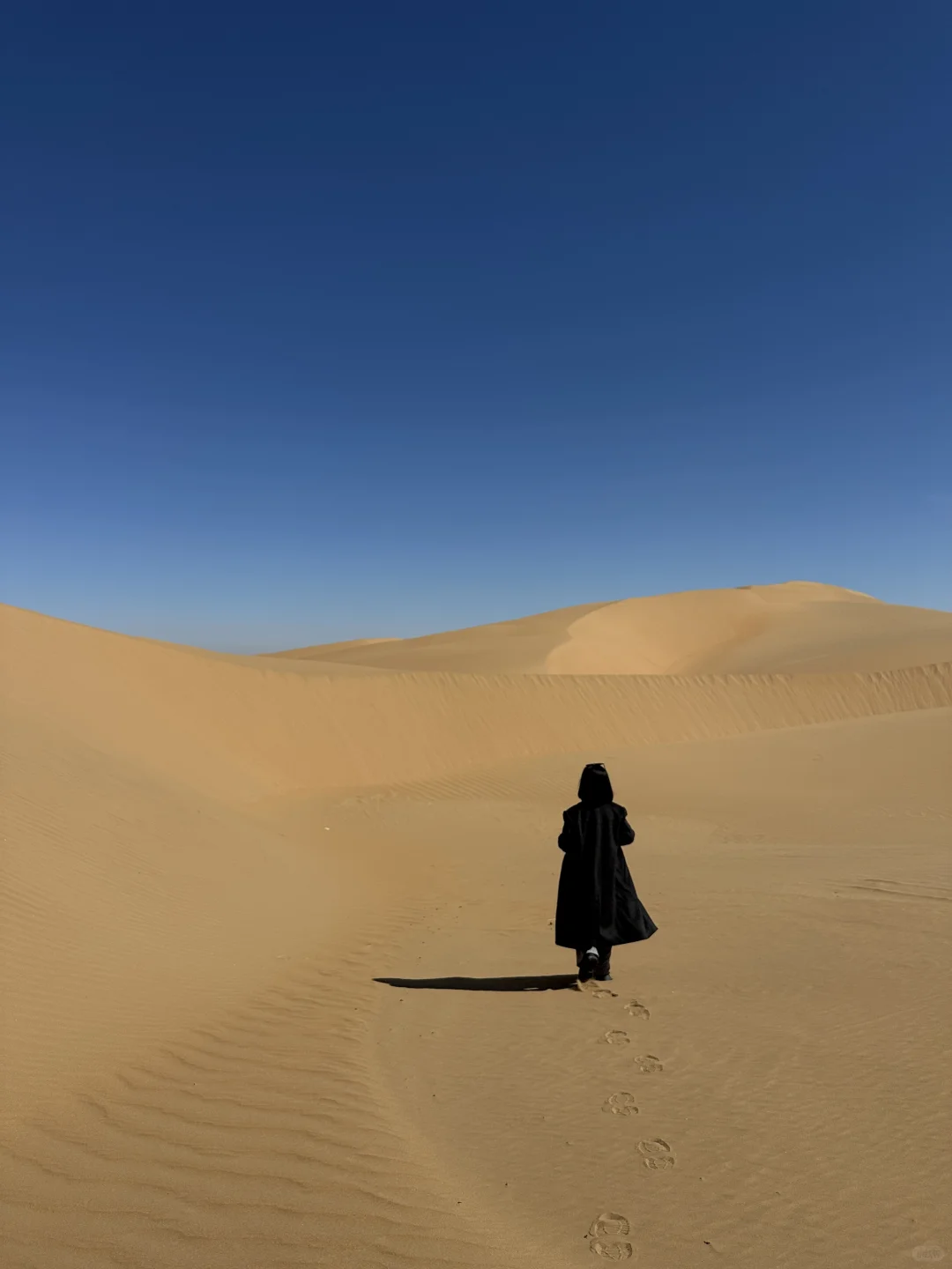 国内游最值得一次！！呼和浩特4天3晚攻略🏜️