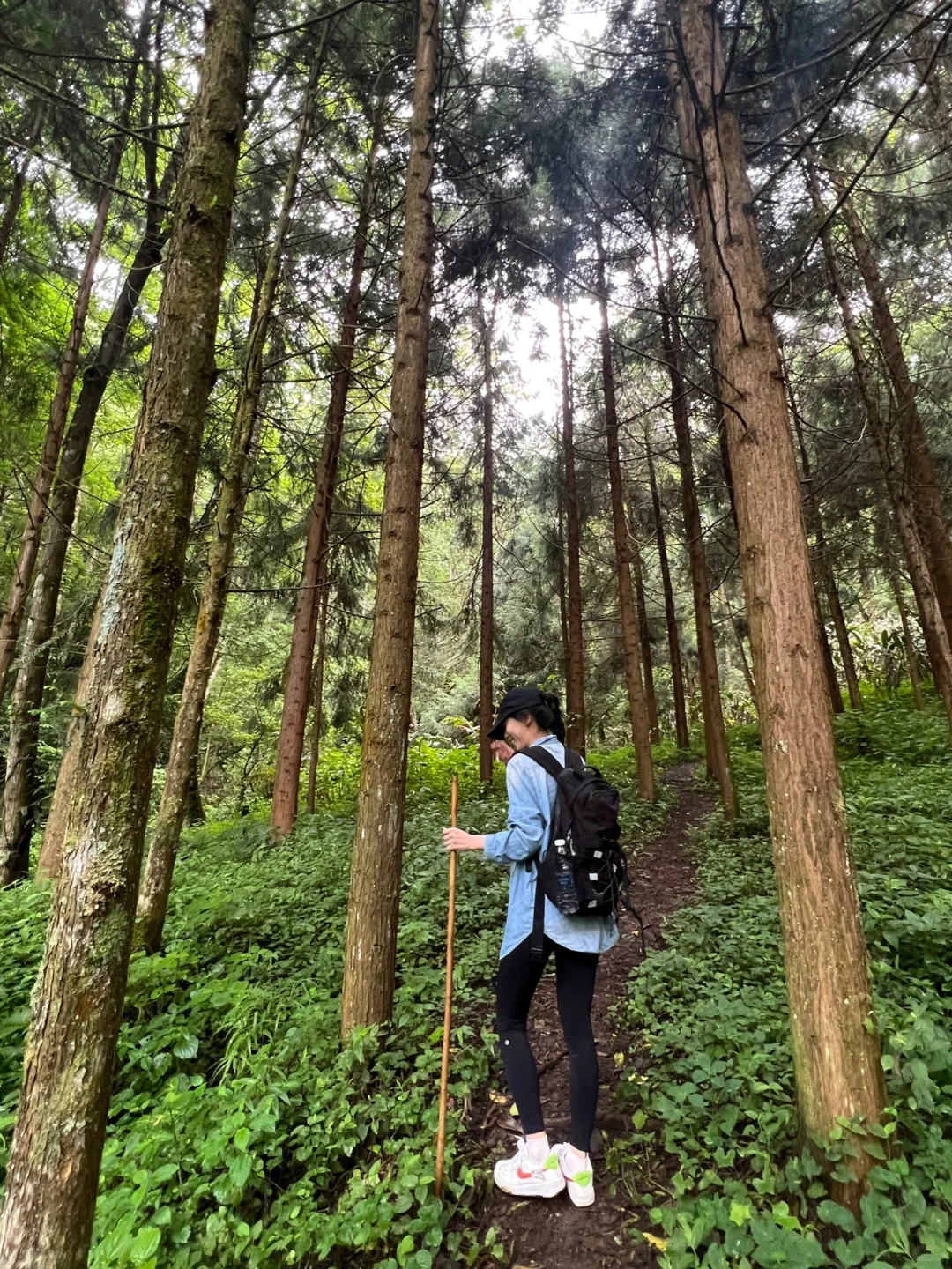 被低估的腾冲，比大理更适合旅居的地方